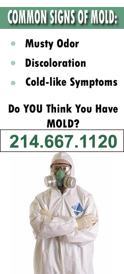 Midlothian Mold Remediation Contractor